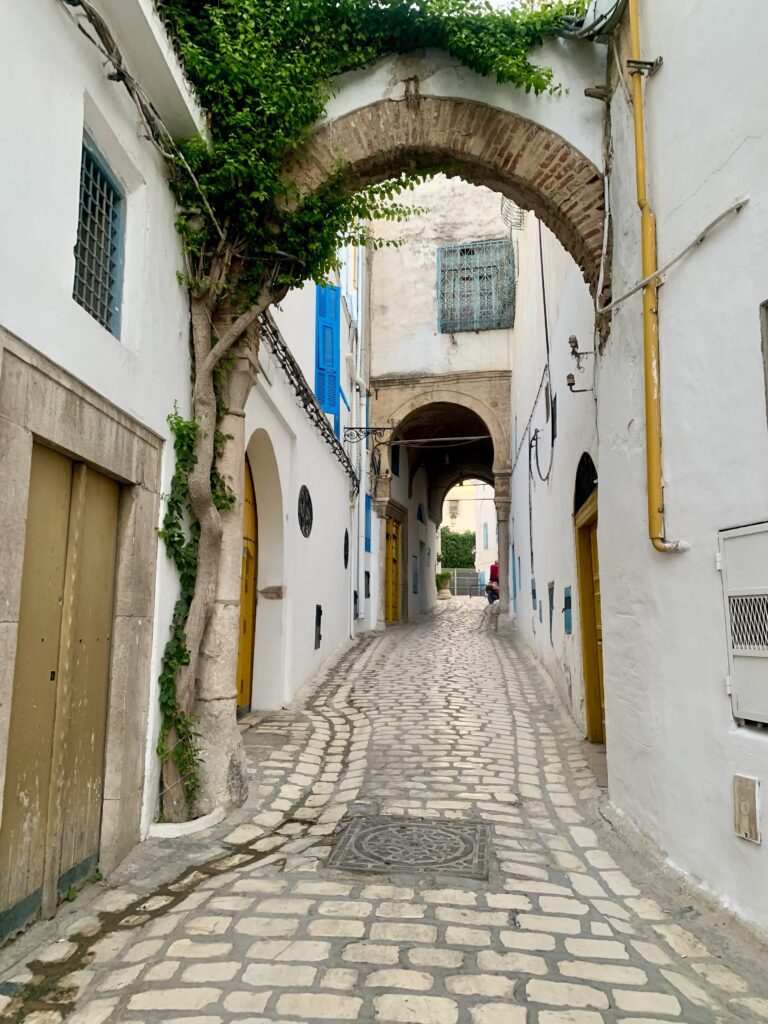 Explore Tunis: Your Ultimate Guide to a Memorable Trip